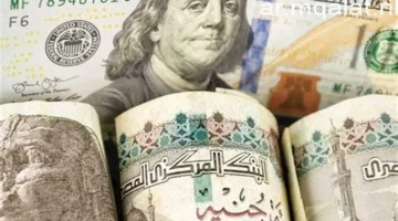 سعر الصرف اليوم.. استقرار ملحوظ في تداولات الدولار مقابل الجنيه داخل البنوك المصرية